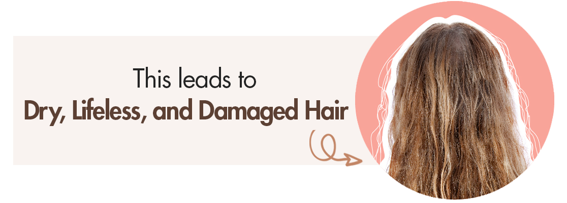 Dry, Lifeless, Damaged Hair banner